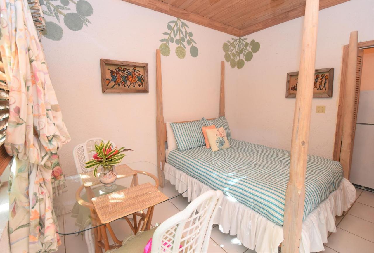 The Sugar Apple Lodging Dunmore Town エクステリア 写真